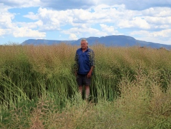 A farmer outstanding in his field.