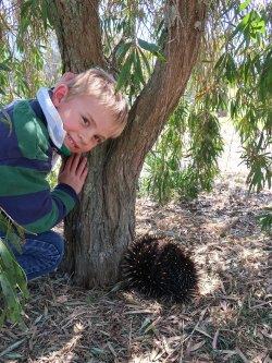 Eddie the Echidna and George Nicholls the nature spotter