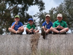 Lily and Ned Jackson, Jock Nicholls and Lane Jackson taking a break from the sale 2017