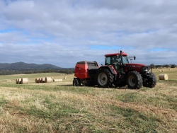 Haymaking