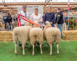 2022 Royal Adelaide Show Supreme British Breed Group