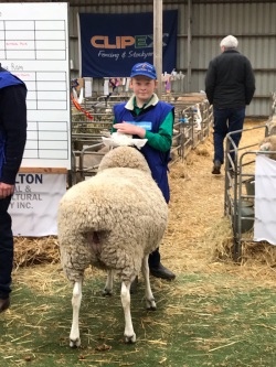 Lane with his Champion Ewe