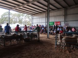 Jackson Farming Sale 2017