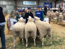 George Nicholls, Jock Nicholls and Lane Jackson holding the winning Sheepvention Interbreed Group 2019