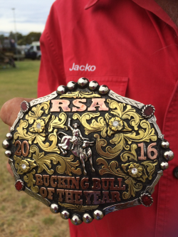 A very proud Jacko with his first winning buckle.