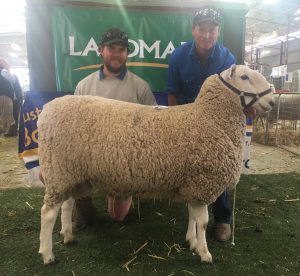 Horsham 2018 Ram